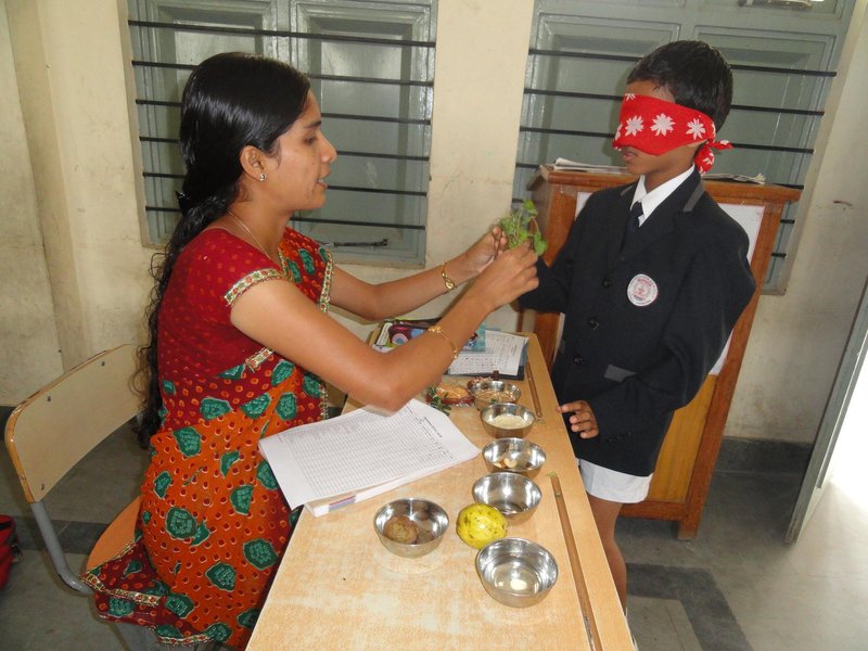 Teachers fostering understanding through blindfold